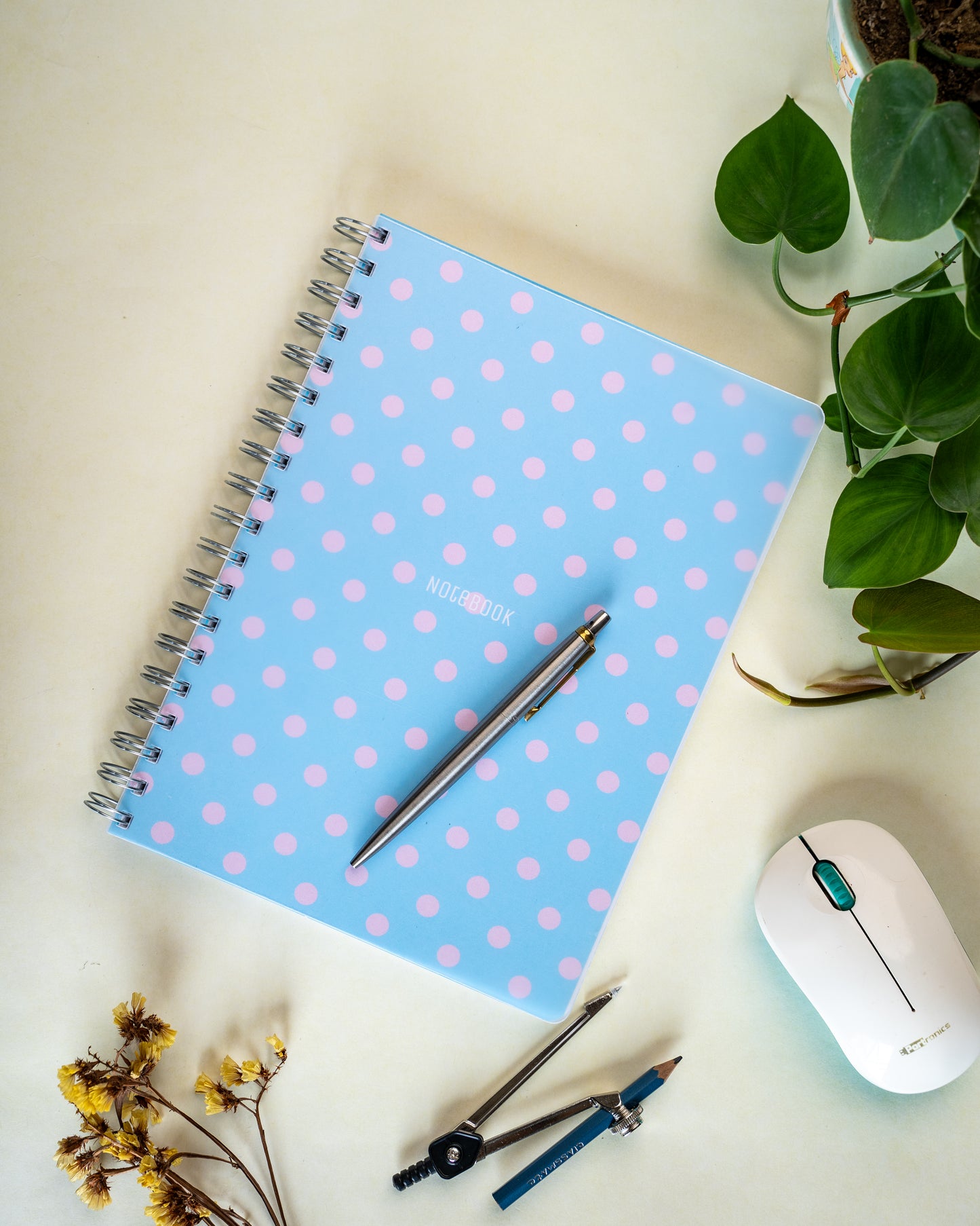 Plastic cover notebooks - Translucent Series - Size B5 -160 pages